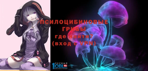 гашиш Белокуриха